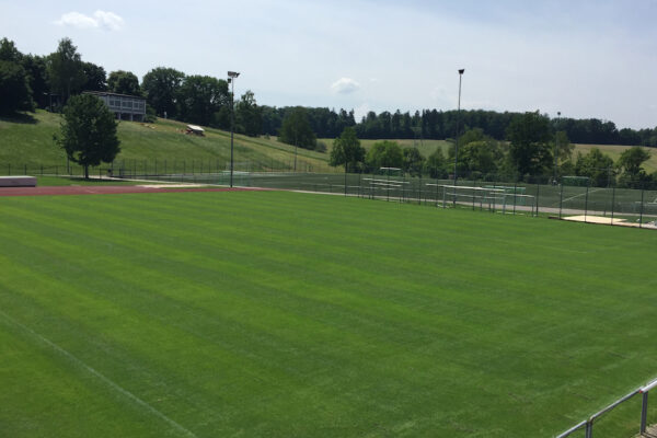 Rasenpatz 3 Rasenpatz 3